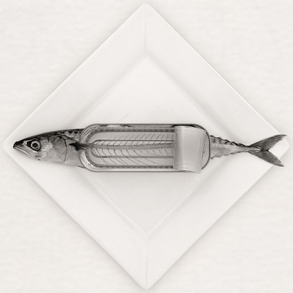 Photograph Michel Bochet Merand Ichtus on One Eyeland